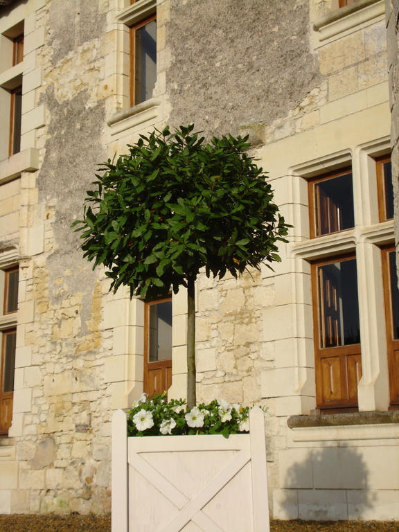 Louerre Manoir Du Bois Noblet B&B 외부 사진
