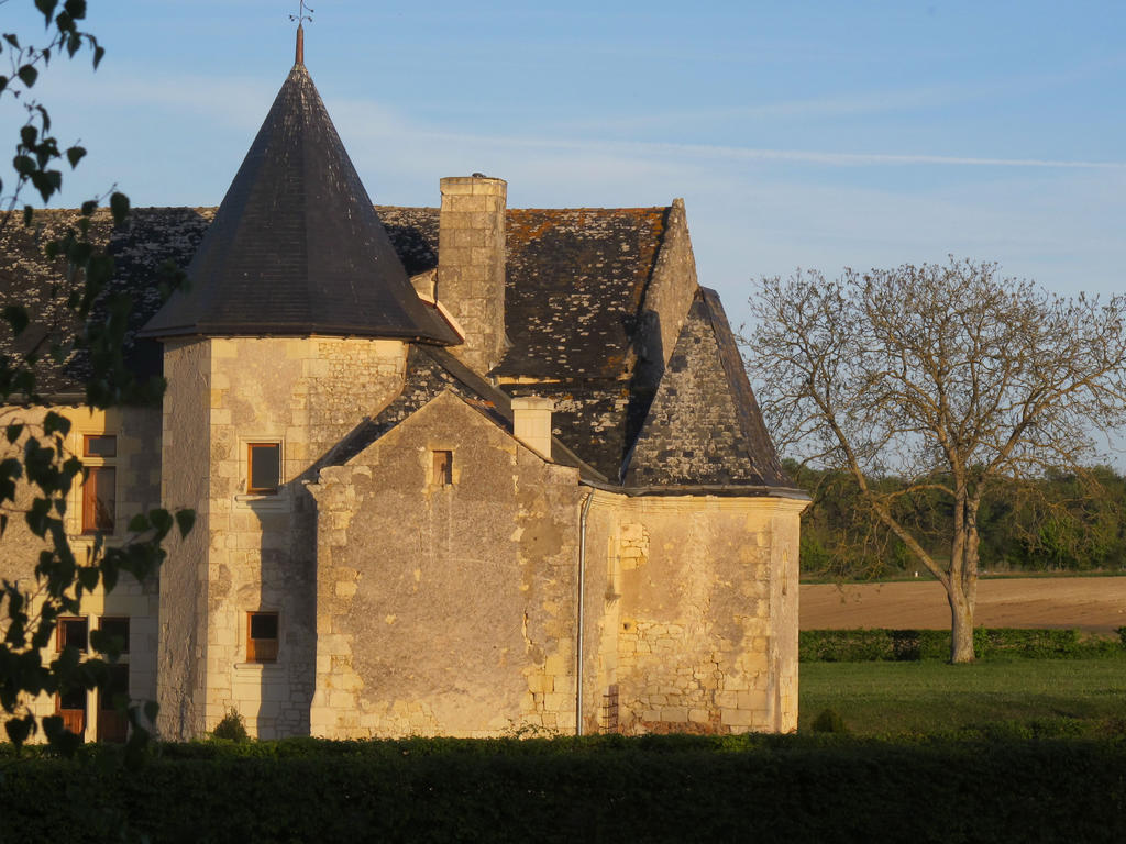 Louerre Manoir Du Bois Noblet B&B 외부 사진